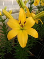 [4018 Serrada No02.JPG]